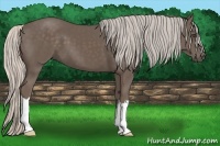 Horse Color:Silver Black 