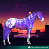 Horse Color:Powder White Watercolor Brown Appaloosa 