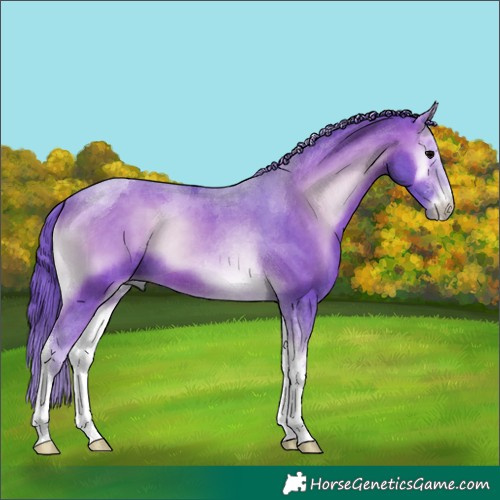 Horse Color:Watercolor Brown Onyx Tobiano 