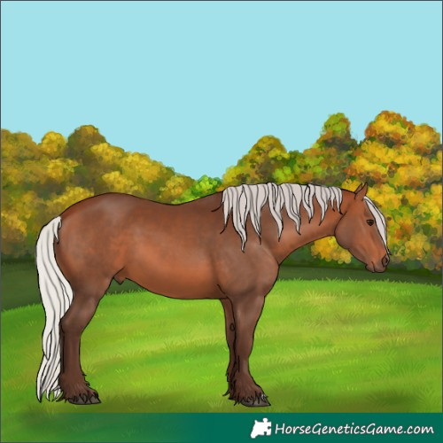 Horse Color:Silver Brown