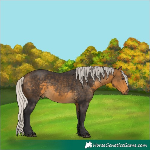 Horse Color:Silver Buckskin Rabicano 