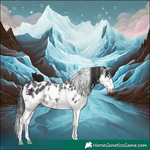 Horse Color:Black Sabino Splash Skewed LP Spotted 