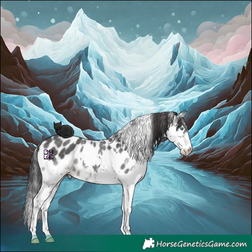 Horse Color:Black Sabino Splash Skewed Appaloosa 