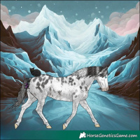 Horse Color:Black Sabino Splash Skewed LP Spotted 