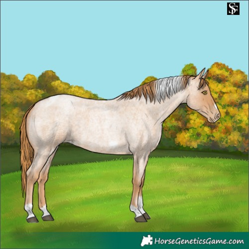 Horse Color:Red Roan Pearl Tobiano Frame 