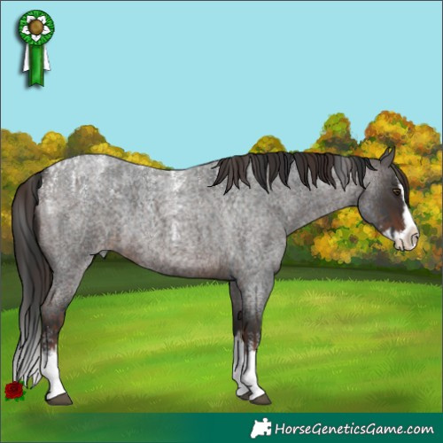 Horse Color:Liver Red Roan Splash  and Powder White Brown Roan Splash 
