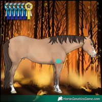 Horse Color:Amber Champagne