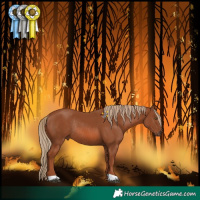 Horse Color:Chestnut Rabicano
