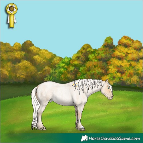 Horse Color:Silver Smoky Blue Roan Pearl 