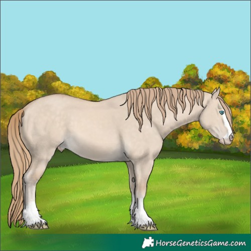 Horse Color:Perlino Dun 
