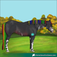 Horse Color:Painted White Spotted Brown