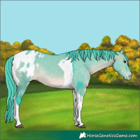Horse Color:Watercolor Brown Dun Tobiano Blanket