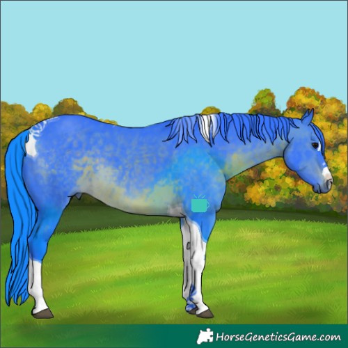 Horse Color:Watercolor Brown Tobiano 