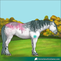 Horse Color:Watercolor Smoky Black Sabino Splash