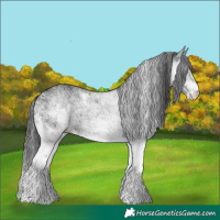Horse Color:White Spotted Black