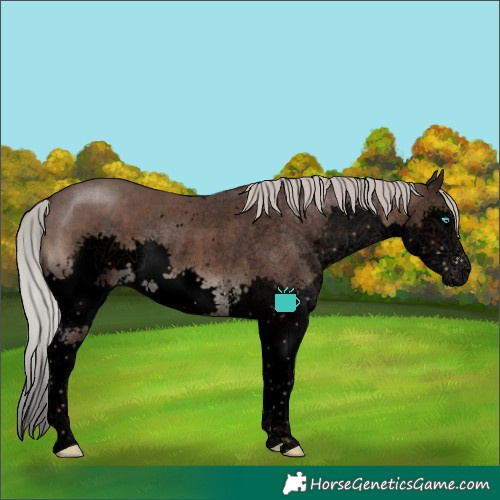Horse Color:Void Silver Black Sabino Splash Rabicano 