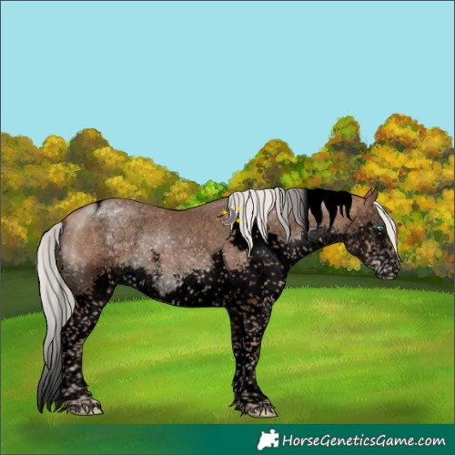 Horse Color:Void Silver Brown Pearl Sabino Splash Tobiano 