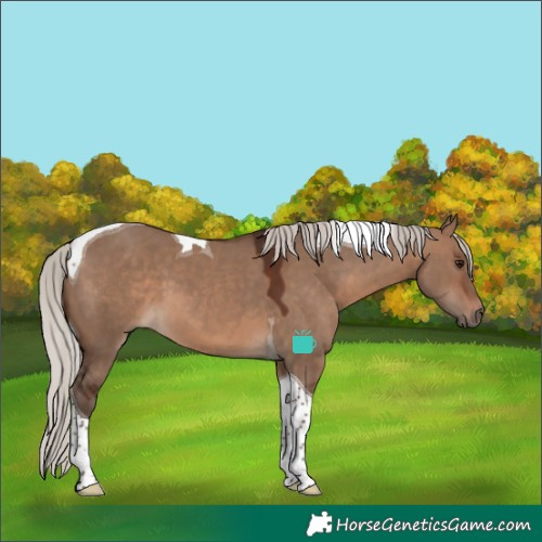 Horse Color:Silver Brown Dun Tobiano 