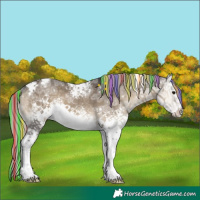 Horse Color:Painted White Spotted Silver Smoky Grullo Ice Onyx Tobiano Rabicano Brindle 