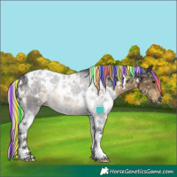 Horse Color:Painted White Spotted Silver Smoky Black Ice Tobiano 