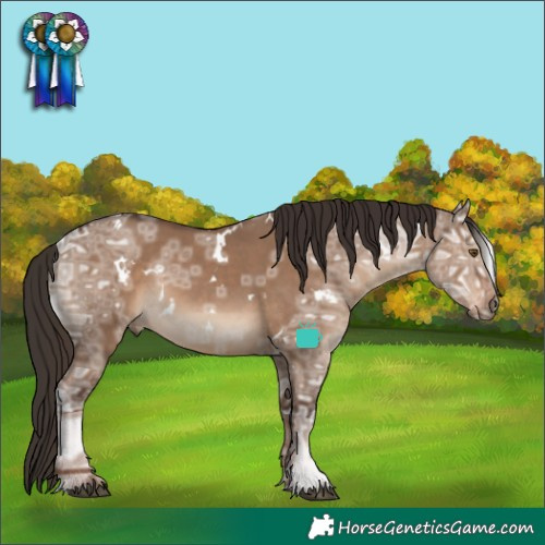 Horse Color:White Spotted Liver Red Dun Ice Rabicano 