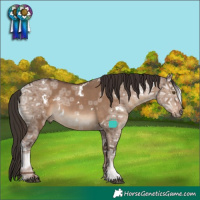Horse Color:White Spotted Liver Red Dun Ice Rabicano