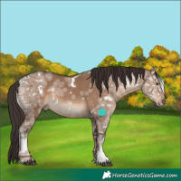 Horse Color:White Spotted Liver Red Dun Ice Rabicano