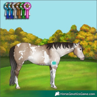 Horse Color:Gray White Spotted Classic Champagne Dun Tobiano Varnish