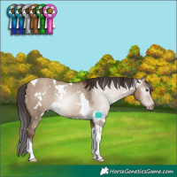 Horse Color:Gray White Spotted Classic Champagne Dun Tobiano Varnish