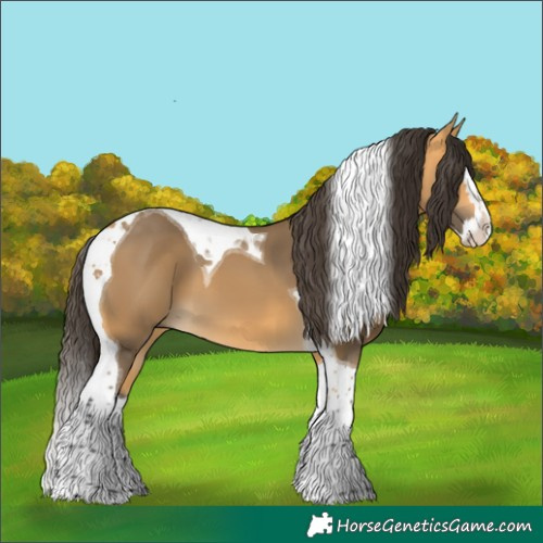 Horse Color:Buckskin Splash Tobiano 