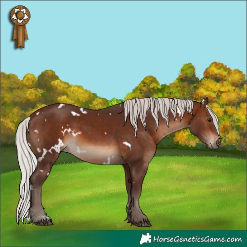 Horse Color:White Spotted Silver Brown 