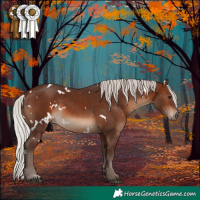 Horse Color:White Spotted Silver Brown