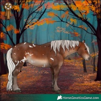 Horse Color:White Spotted Silver Brown 