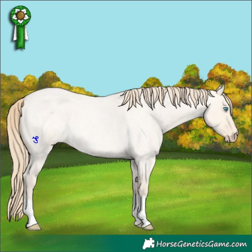 Horse Color:Perlino Roan Dun