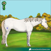 Horse Color:Perlino Roan Dun 