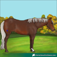 Horse Color:Silver Brown 
