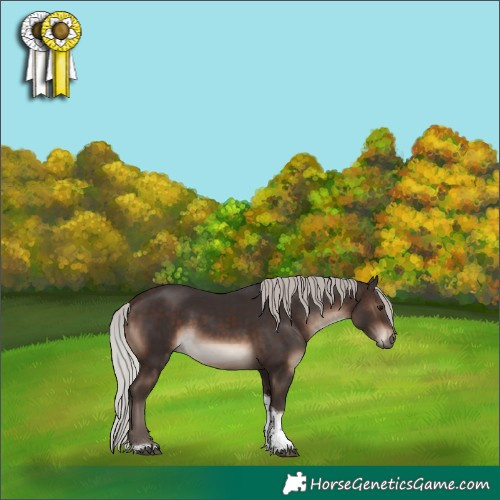 Horse Color:Silver Brown Mushroom Tobiano