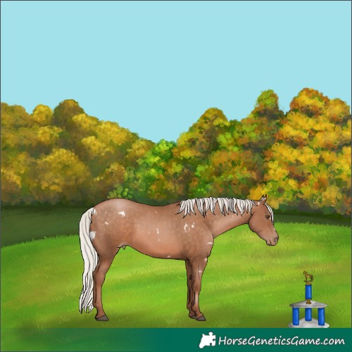 Horse Color:White Spotted Silver Brown Pearl 