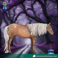 Horse Color:White Spotted Silver Brown Pearl 
