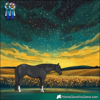 Horse Color:Black Tobiano