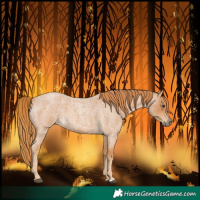 Horse Color:Red Roan 