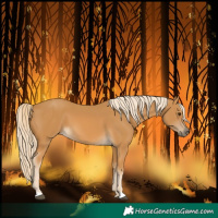 Horse Color:Palomino 