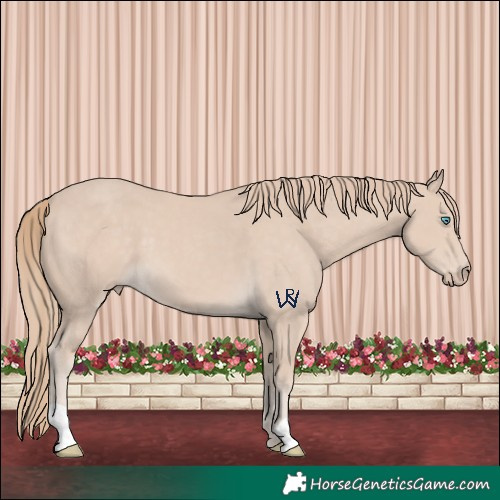 Horse Color:Smoky Creme 
