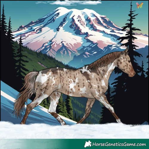 Horse Color:White Spotted Liver Red Dun Appaloosa Rabicano Brindle 