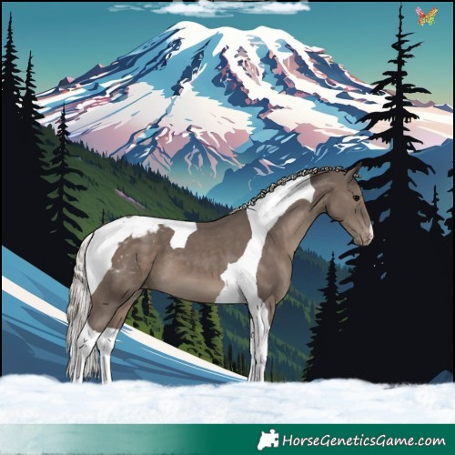 Horse Color:Silver Black Tobiano Varnish 