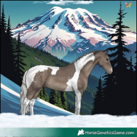 Horse Color:Silver Black Tobiano Appaloosa 