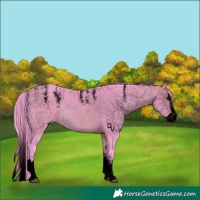 Horse Color:Powder White Void Watercolor Brown Splash 
