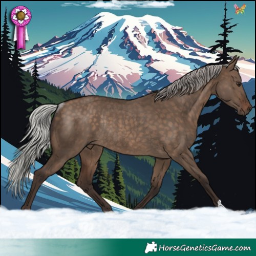 Horse Color:Silver Brown Dun Rabicano 