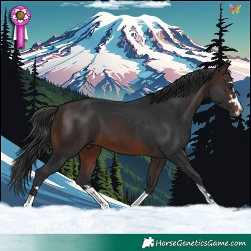 Horse Color:Brown 