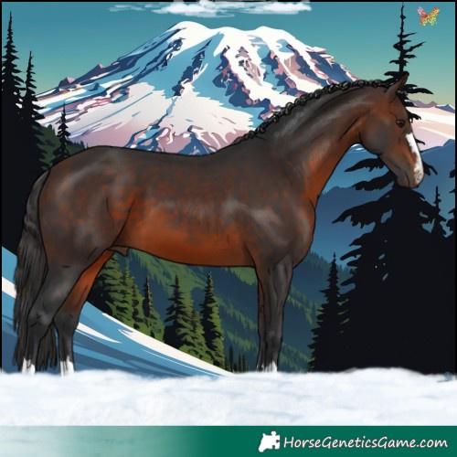 Horse Color:Brown 